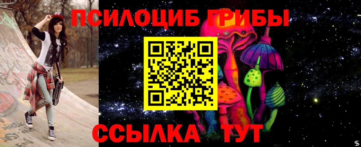 Галлюциногенные грибы Cubensis Вышний Волочёк